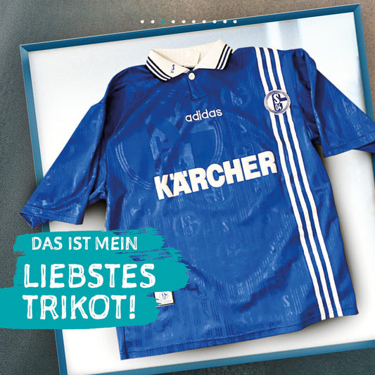 Trikot im Living.Steel Trikotrahmen